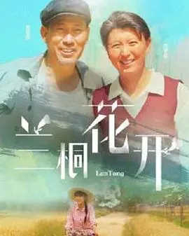 《兰桐花开》：乡村振兴的诗意画卷，绽放希望之花