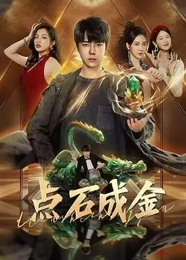 《点石成金》：一个普通人如何玩转资本游戏，实现财富自由的奇幻之旅